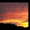 bealbury1